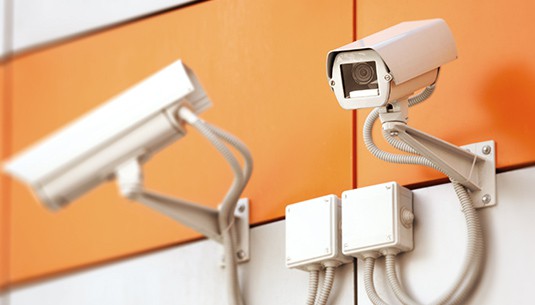 Negligent Security